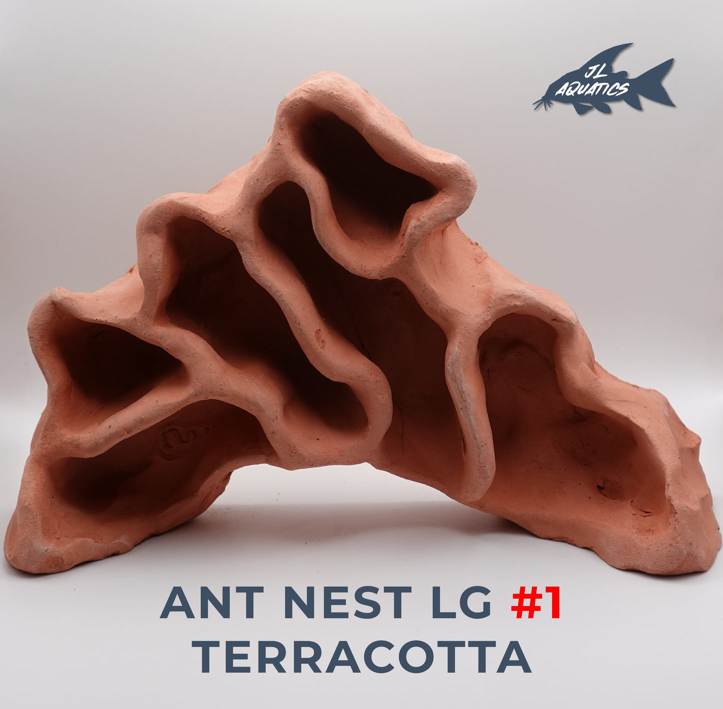 Shelta Ant Nest